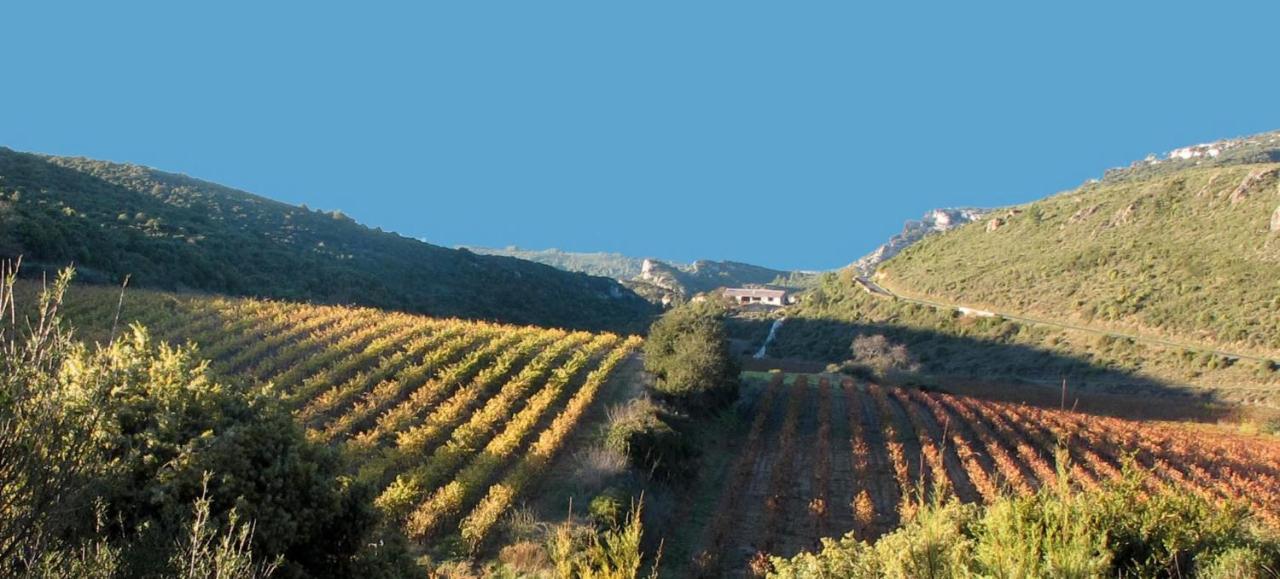 Gite Dans Ancienne Bergerie En Pleine Garrigue Fraissé-des-Corbières Exterior foto