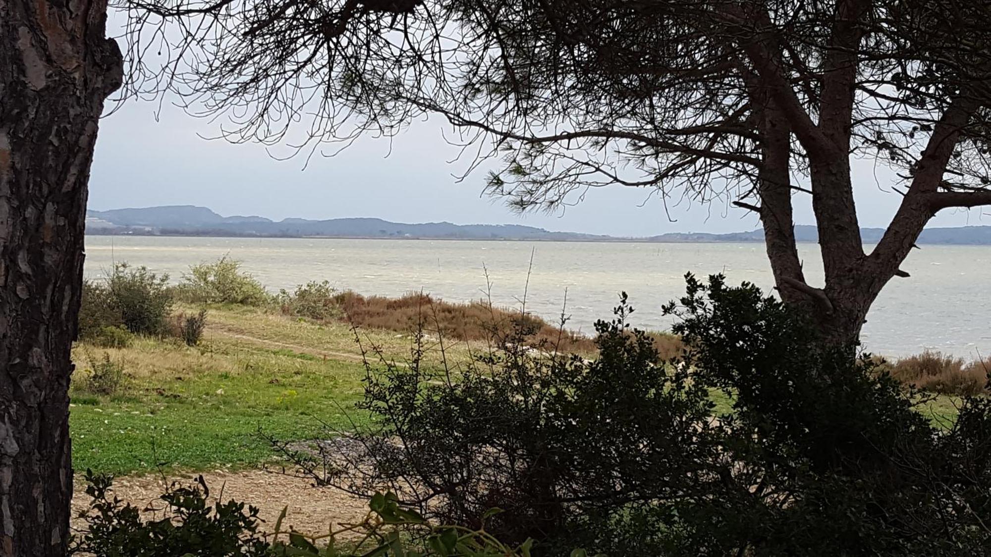 Gite Dans Ancienne Bergerie En Pleine Garrigue Fraissé-des-Corbières Exterior foto